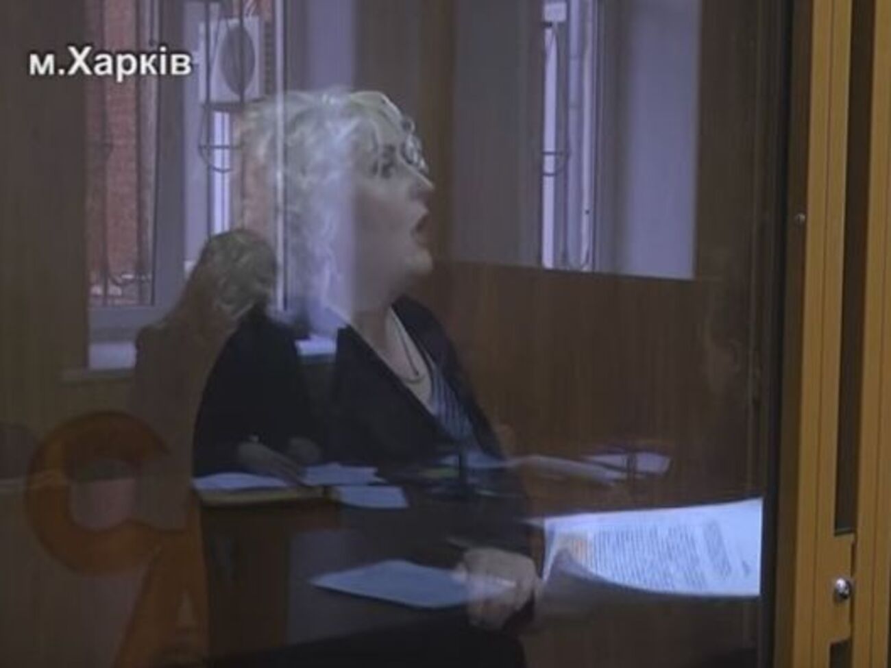 Неля Штепа уверена, что уголовное дело против нее сфабриковано силовиками &ndash;&nbsp;предателями Украины&nbsp;