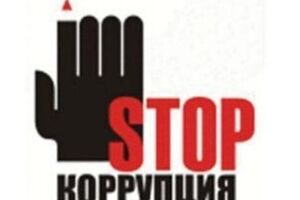 Как собака Ника спасает украинских бойцов от артобстрелов и чужаков. Видео