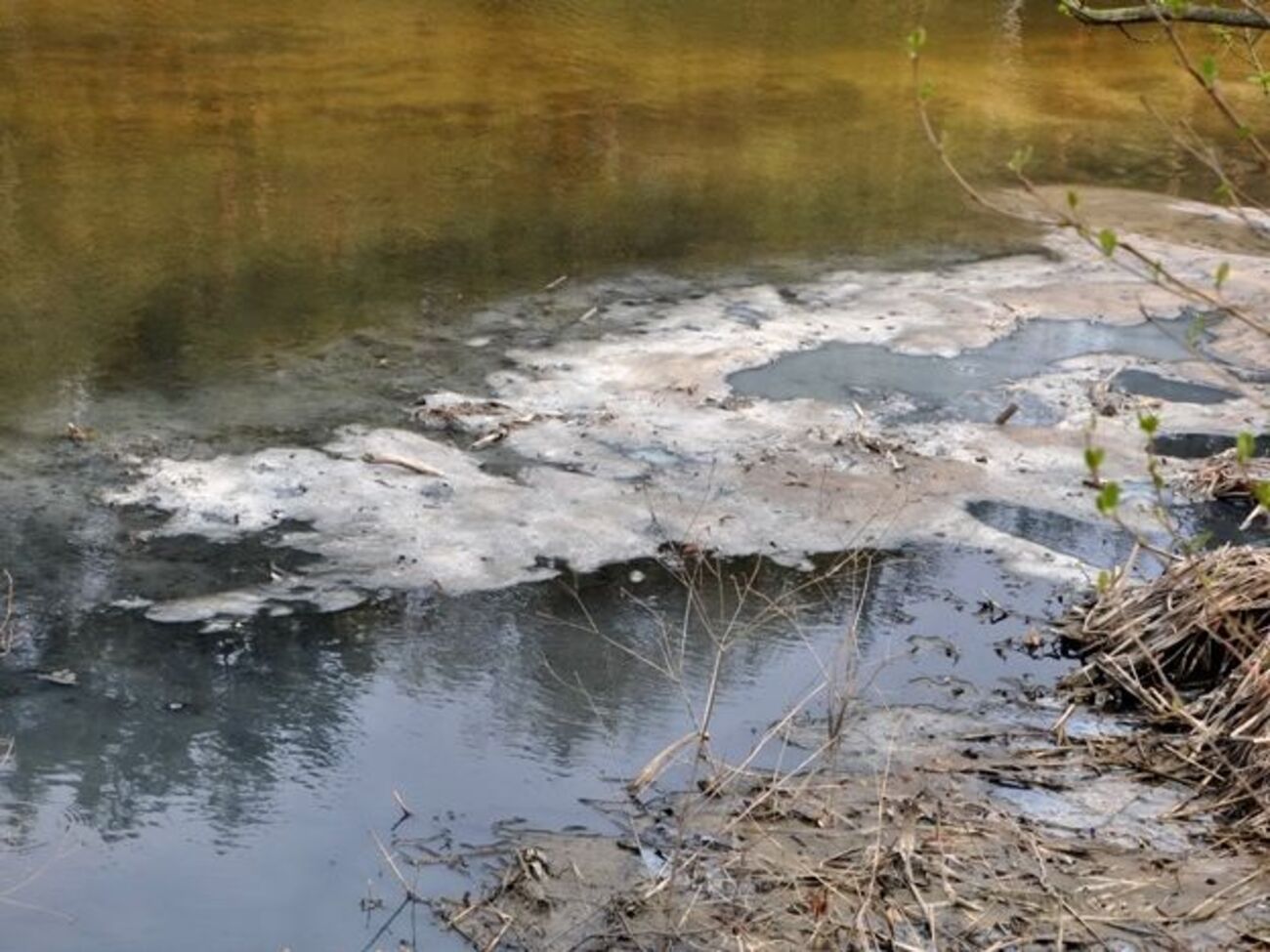 В воде находится неизвестное химическое вещество, на берегах лежат погибшие раки и рыба