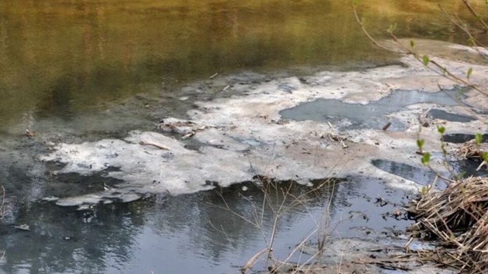 В воде находится неизвестное химическое вещество, на берегах лежат погибшие раки и рыба