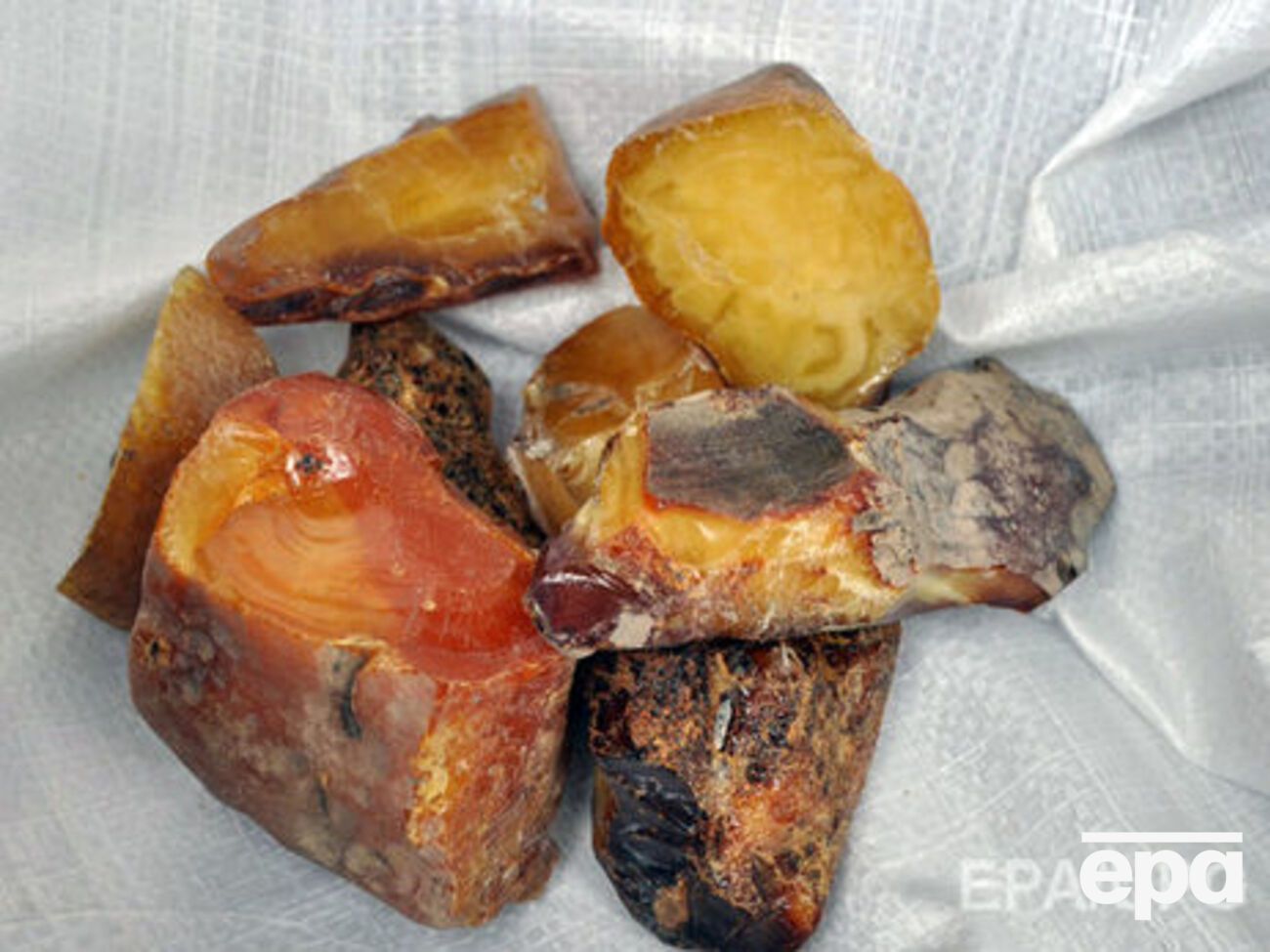 В полиции подтвердили информацию о сотрудниках Нацгвардии, которые будут бороться с незаконной добычей янтаря