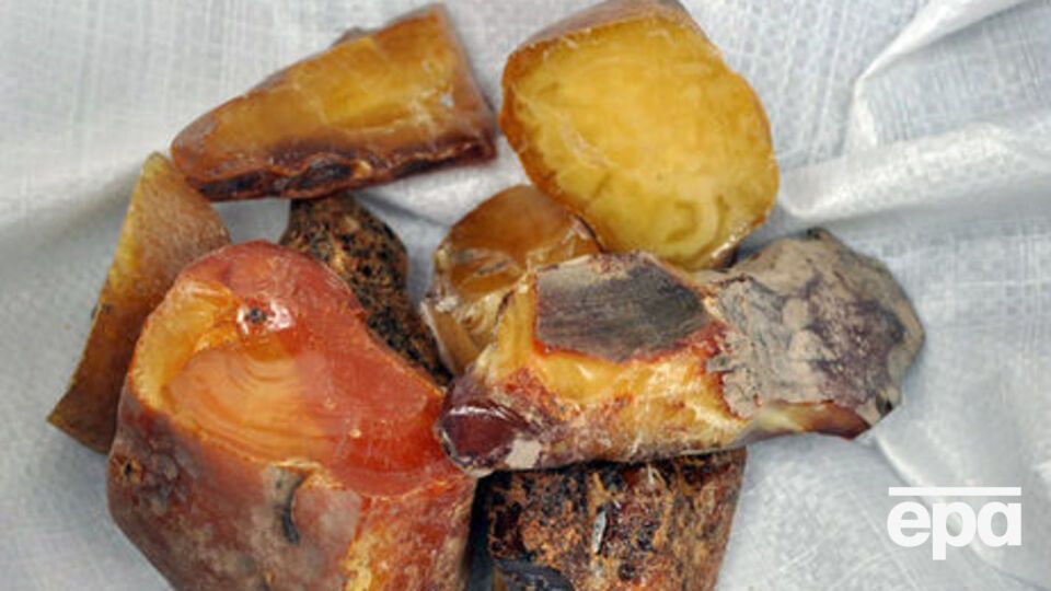 В полиции подтвердили информацию о сотрудниках Нацгвардии, которые будут бороться с незаконной добычей янтаря