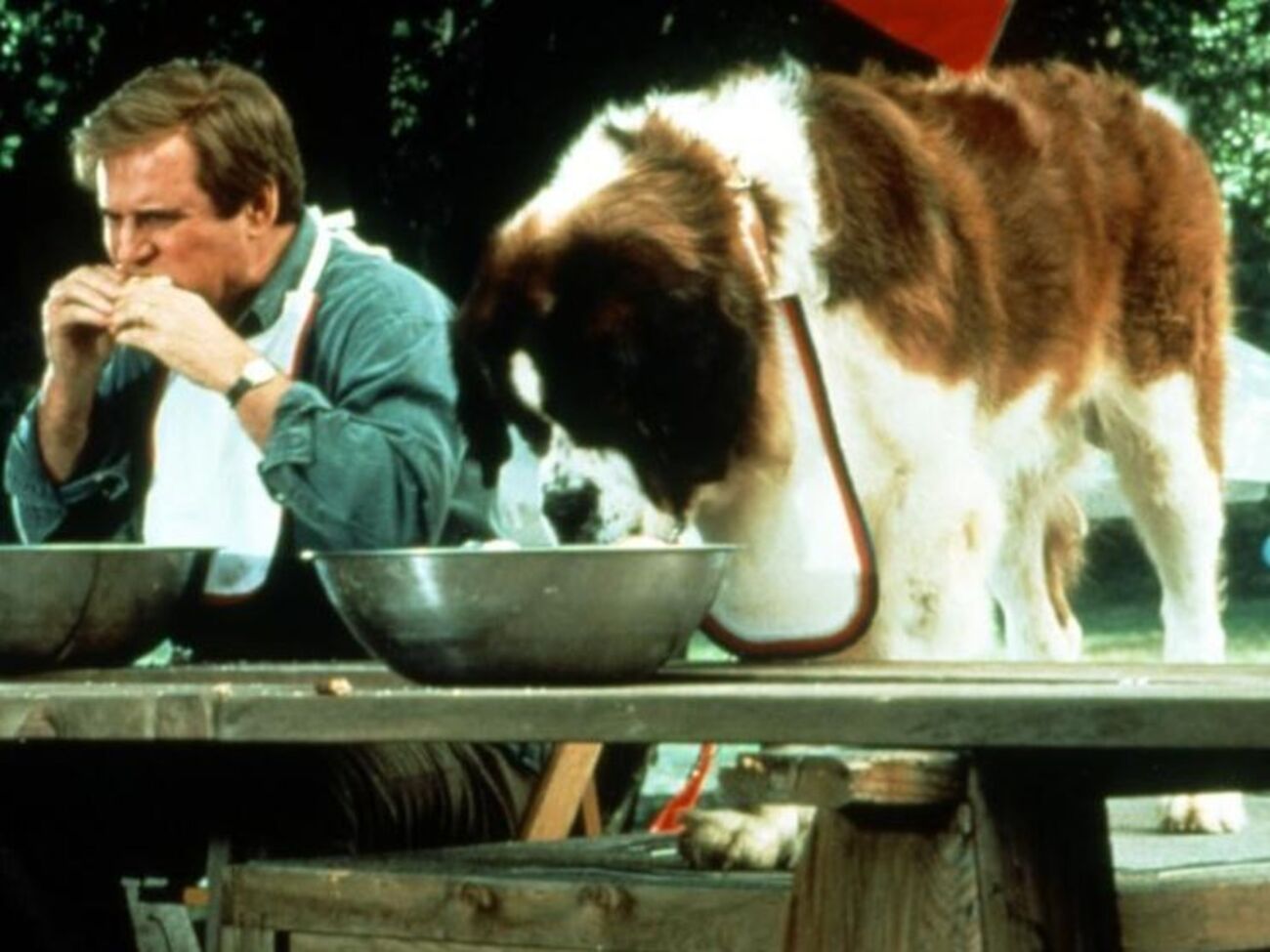 "Бетховен 2" --- один из самых известных фильмов Дэниэла