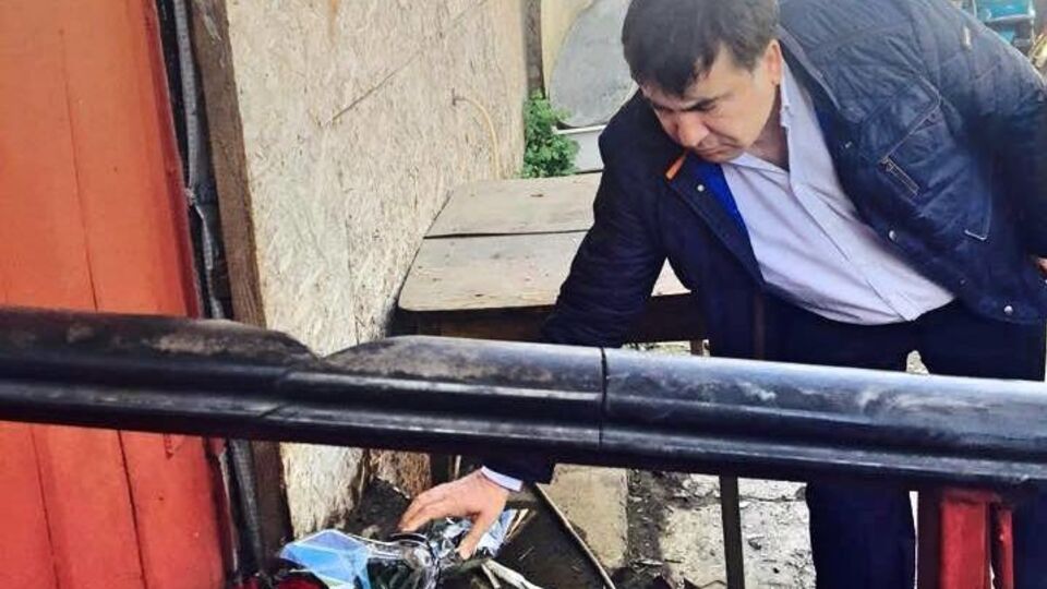 Саакашвили побывал на месте пожара в селе Шабо