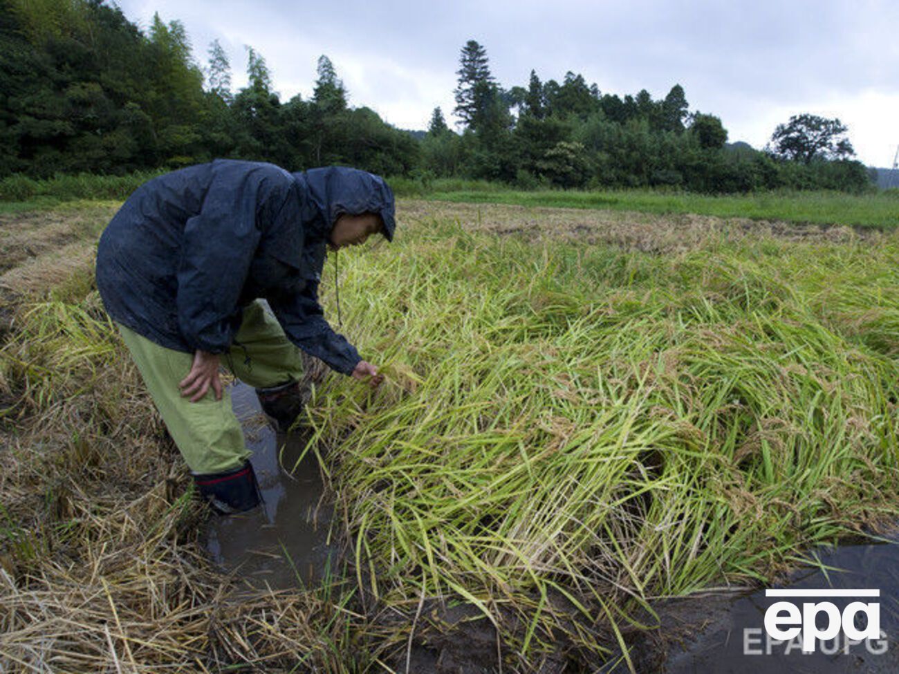 Японцы хотят закупить для своих ферм беспилотные тракторы