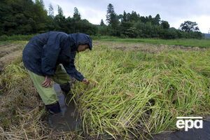 Японцы хотят закупить для своих ферм беспилотные тракторы