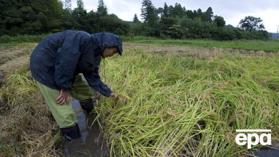 Японцы хотят закупить для своих ферм беспилотные тракторы