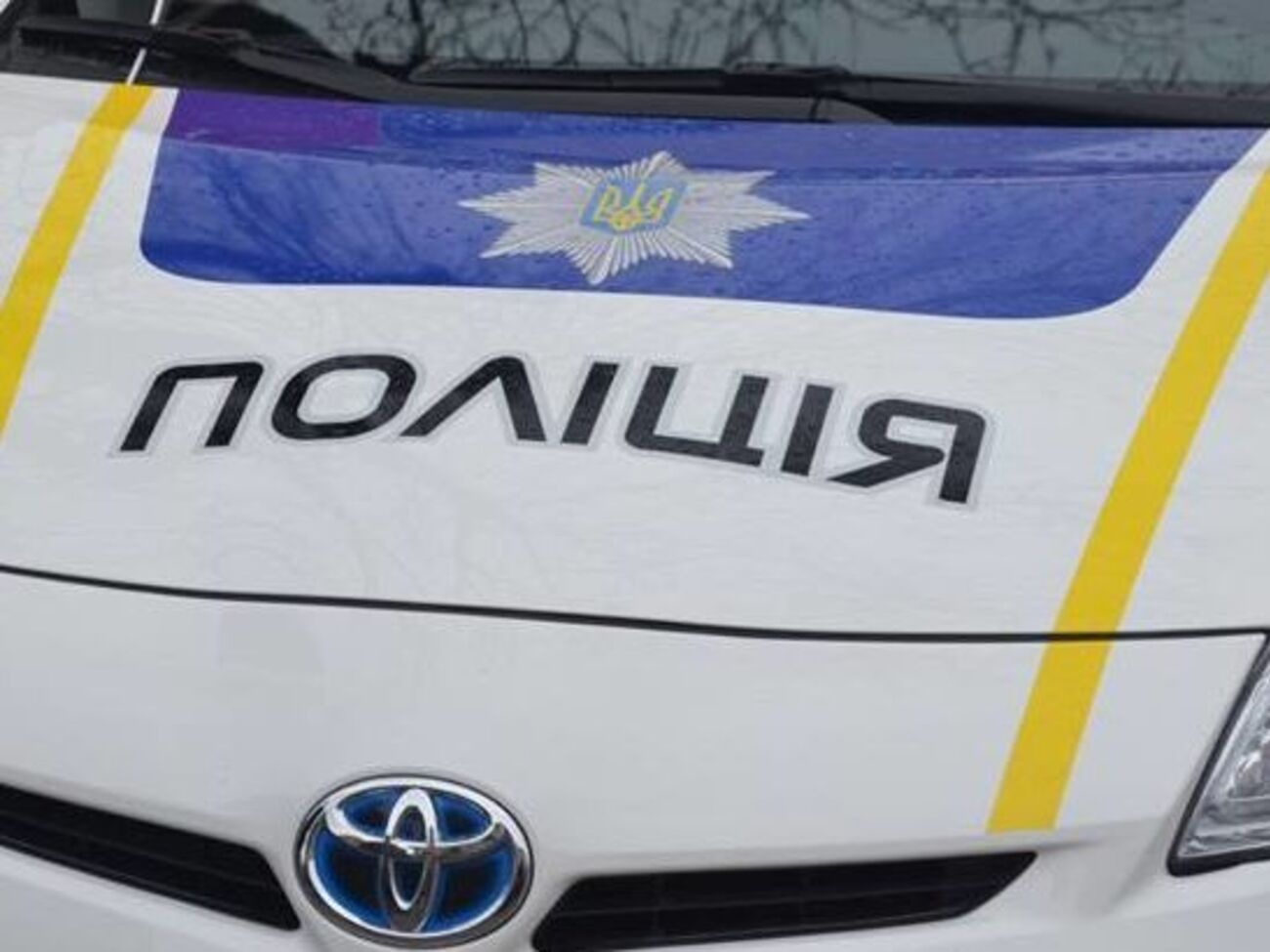 Киевский патруль вызвали для усмирения пьяного мужчины