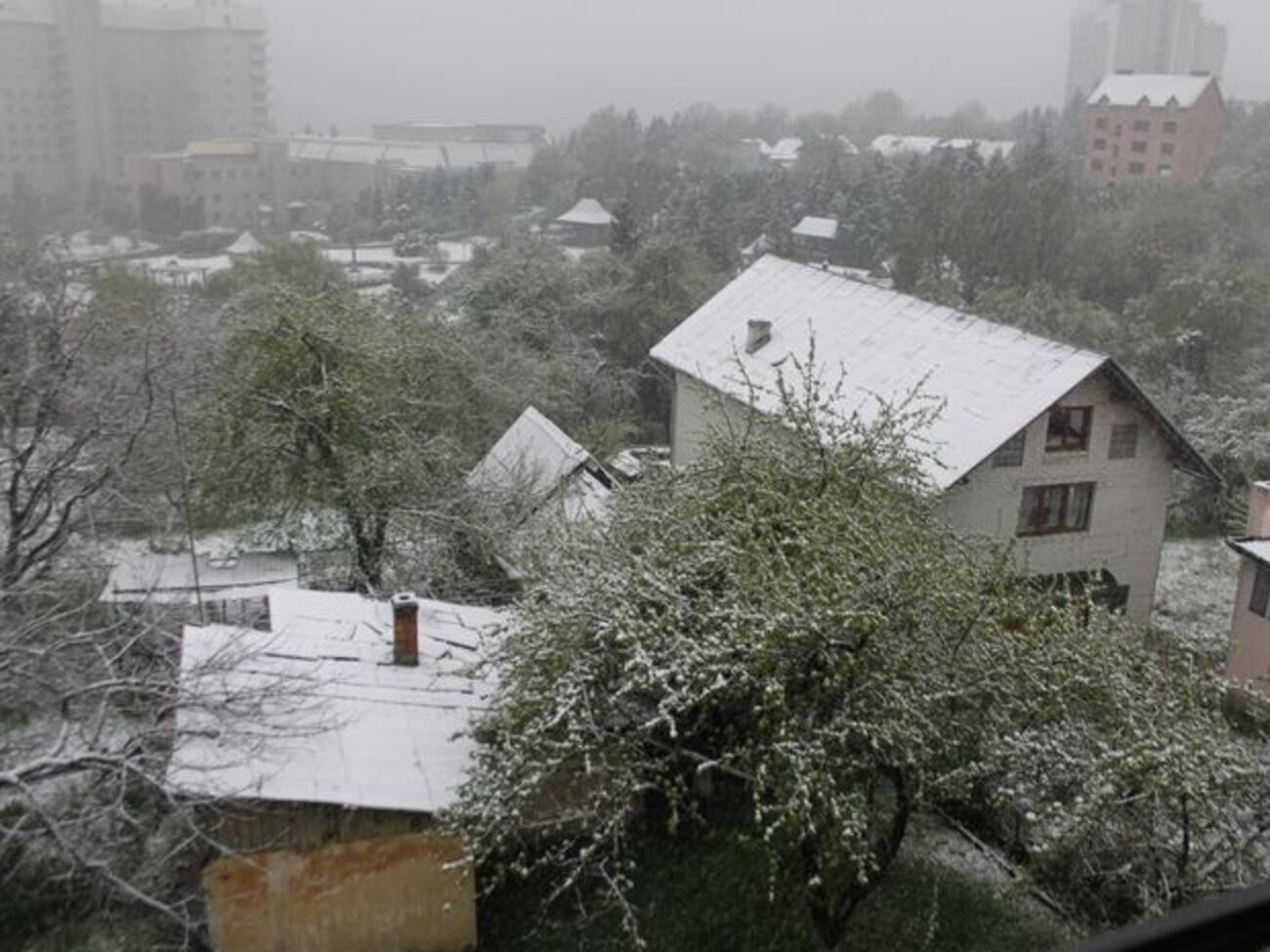 Весенний снегопад во Львове