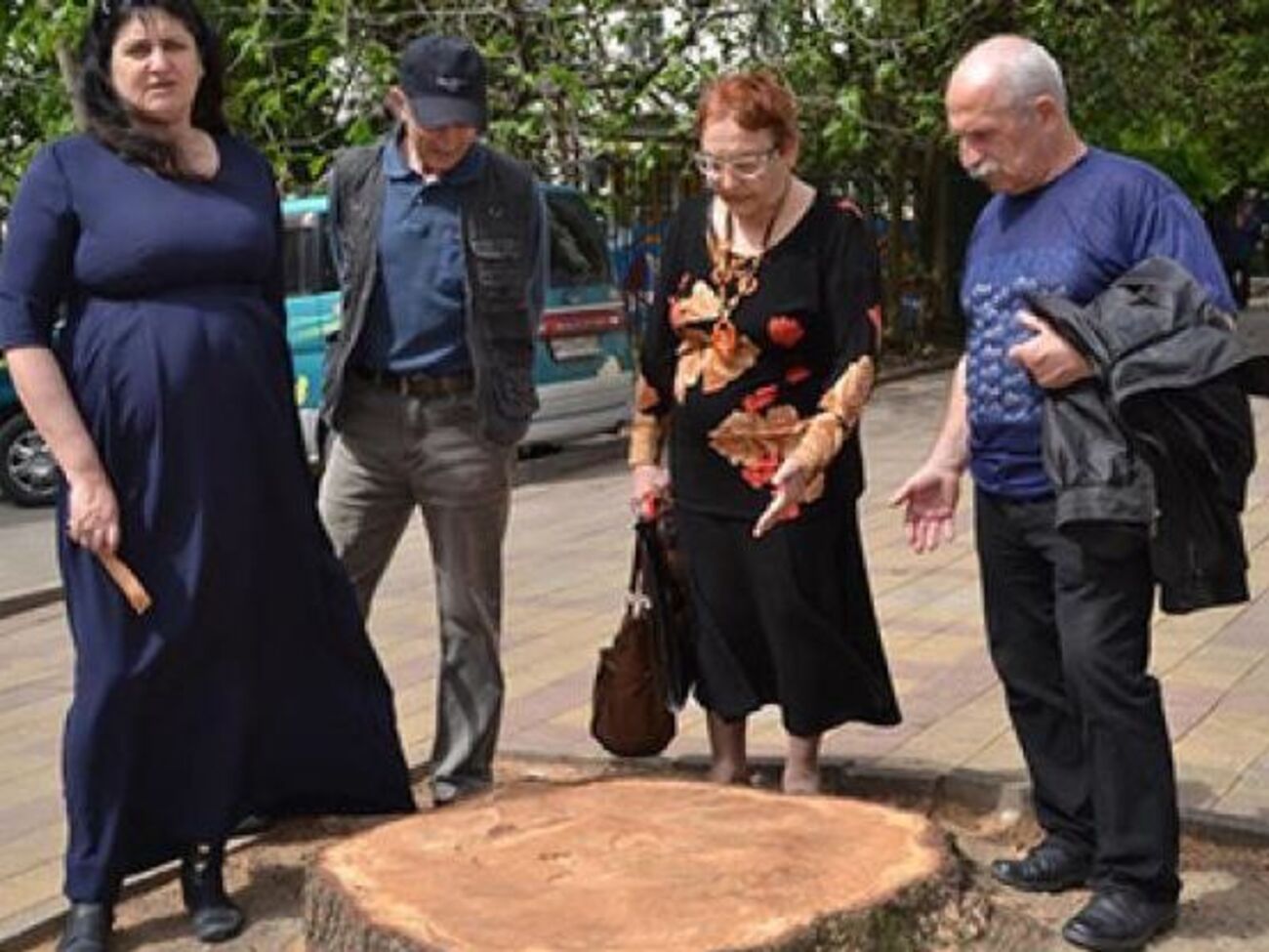На улице Гагарина в Сочи спилили кедр, посаженный первым космонавтом