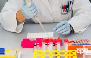 В Канаде подтвердили первый случай передачи вируса Зика половым путем