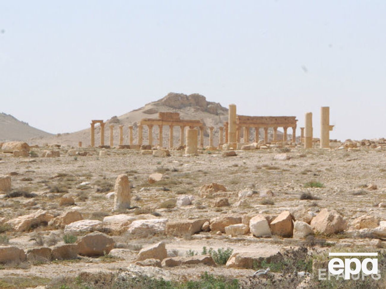 Эксперты ЮНЕСКО провели оценочную миссию в Пальмире