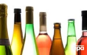 Вера Савченко вернулась в Украину