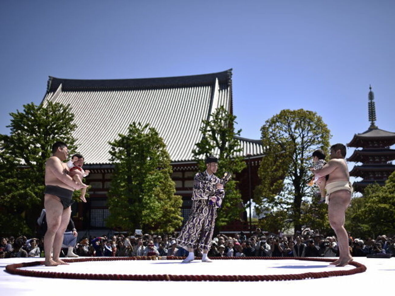 В Японии прошел фестиваль "борьбы плачущих младенцев". Фоторепортаж