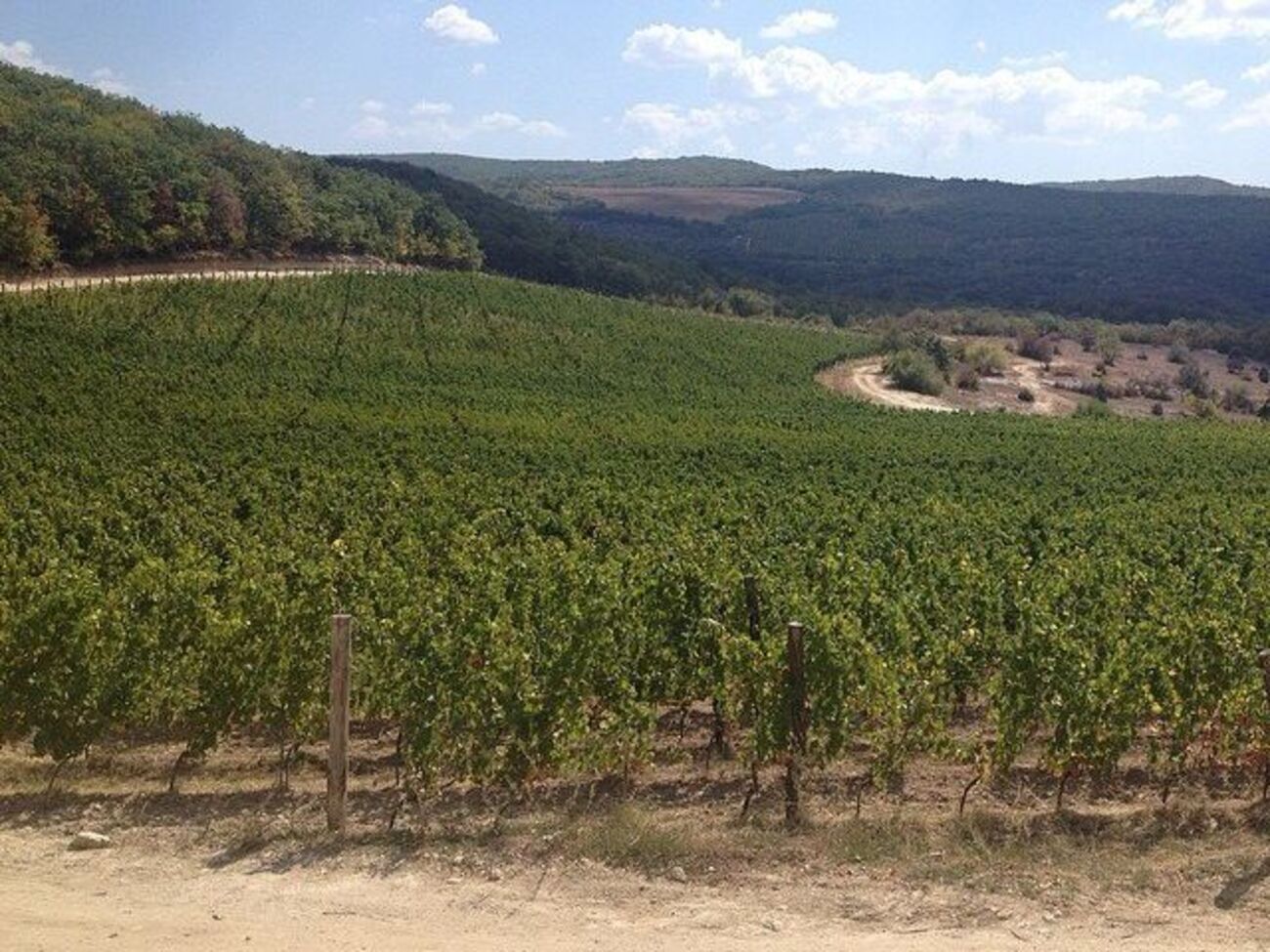 В Крыму заявили, что заинтересованы в инвестиционном проекте тунисских и итальянских бизнесменов