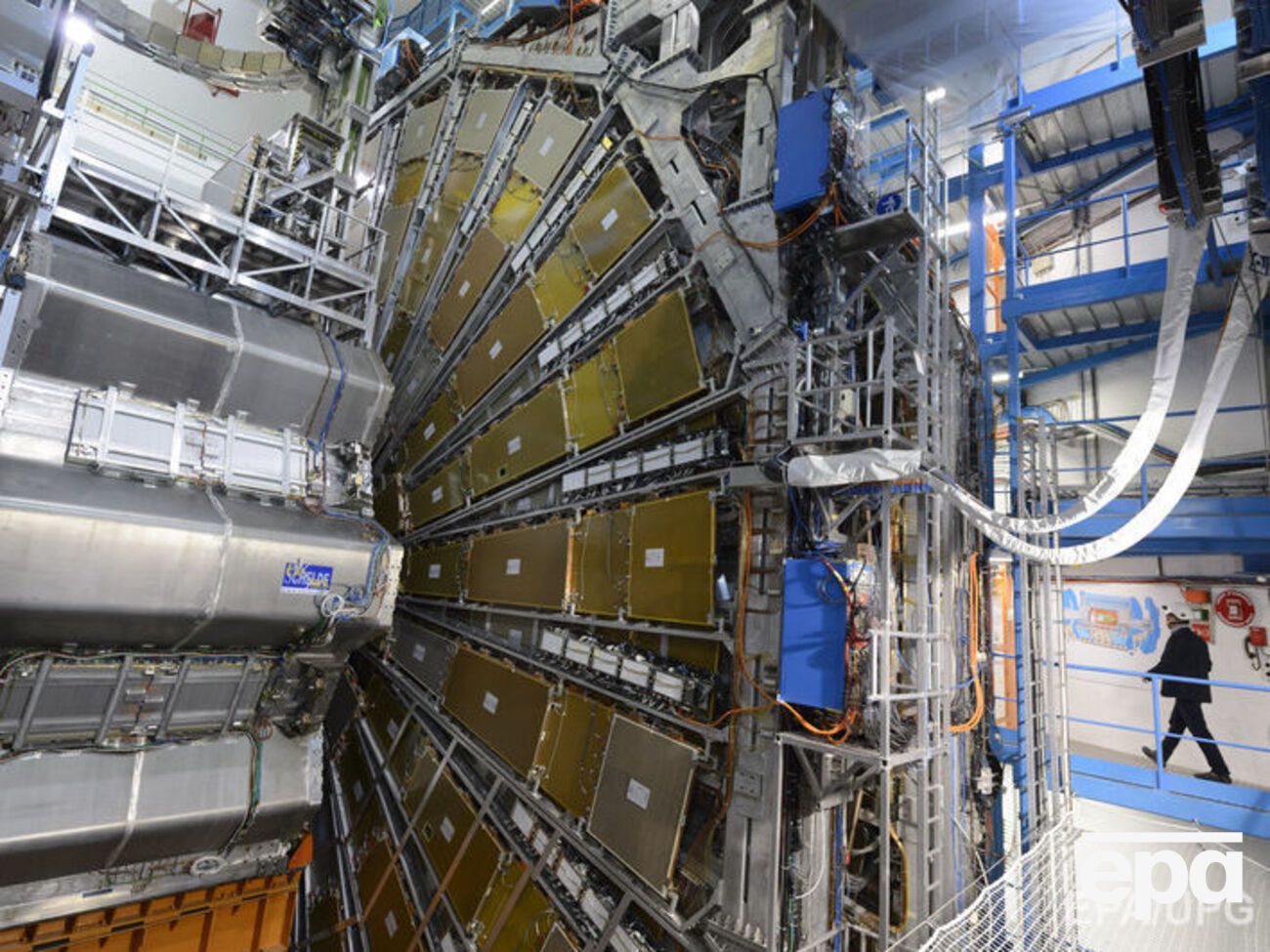 Хорек остановил крупнейший в мире ускоритель ядерных частиц