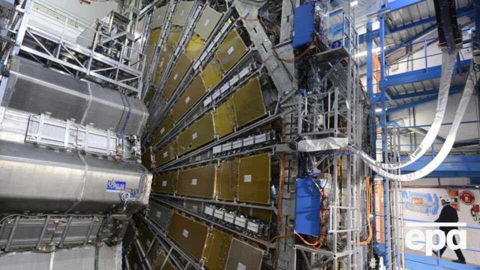 Хорек остановил крупнейший в мире ускоритель ядерных частиц