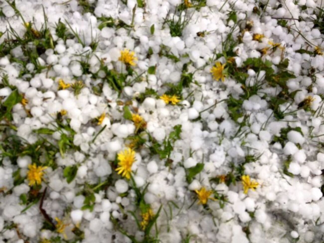 Ровно засыпало градом