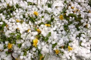 Ровно засыпало градом