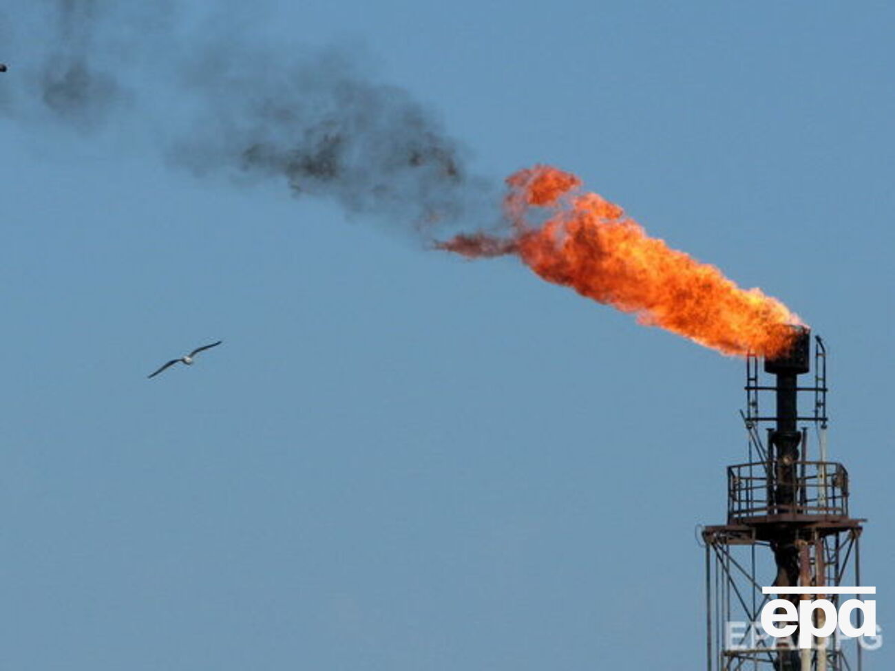 Цены на нефть снова растут