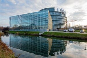 На момент работы в Европарламенте у подозреваемого не было судимости