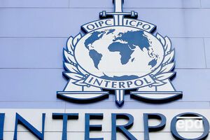 Интерпол будет искать зампреда совета директоров "Дельты"