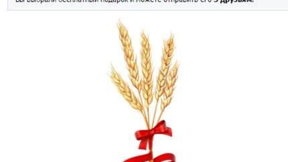 Колоски появляются только в украинском интерфейсе, вне зависимости от IP