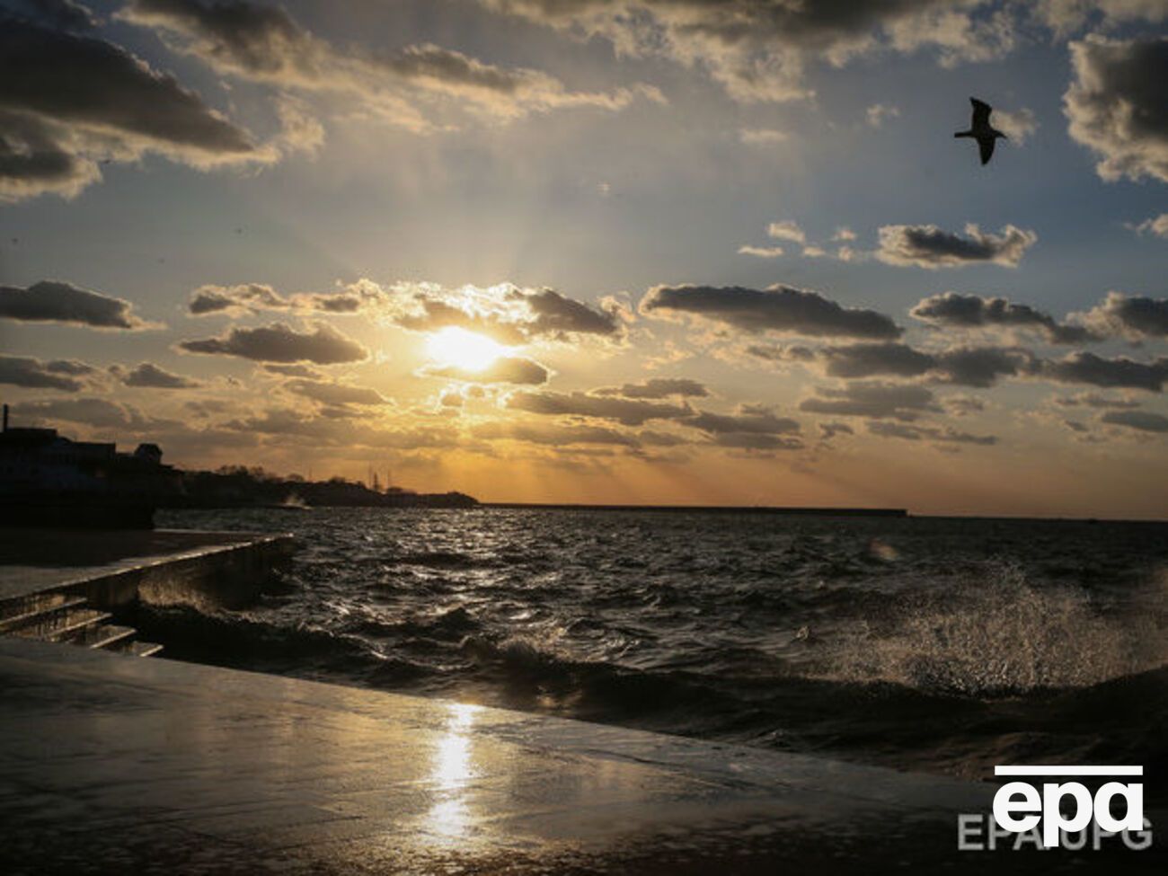 Мазут сбросили в акваторию Севастопольской бухты