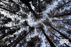 Кабмин собирается реформировать природоохранную сферу