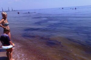 Выброс нефтепродуктов загрязнил акваторию Севастополя и прибрежную полосу