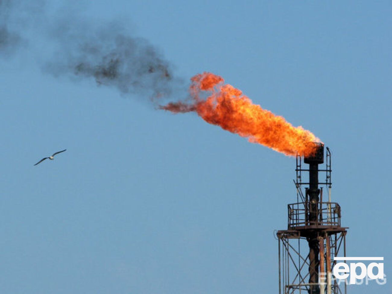 Кувейт планирует повысить добычу нефти до 4 млн баррелей в сутки