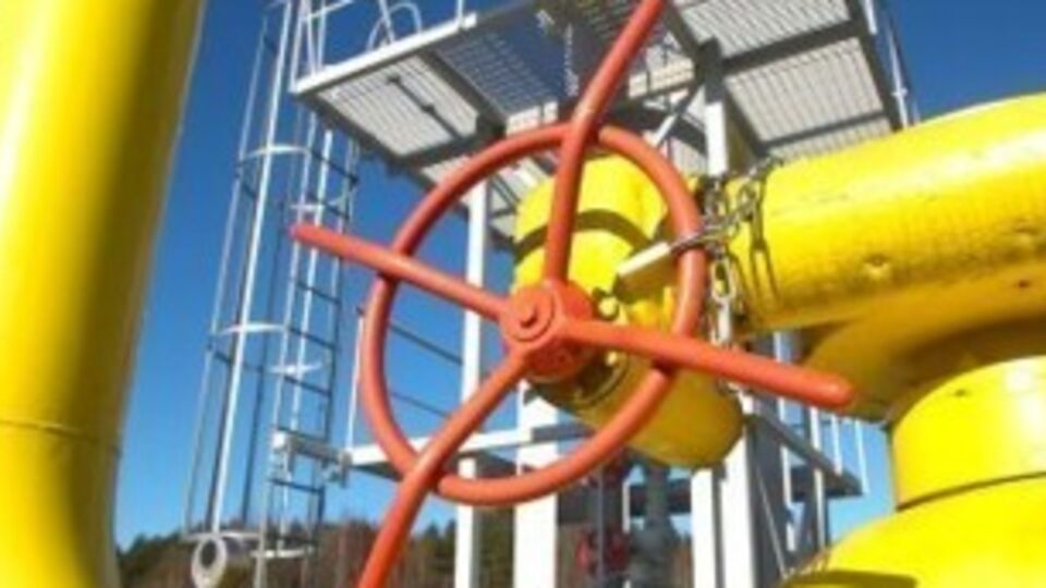 Корниец несколько раз получал от государства квартиры и землю, узнали журналисты