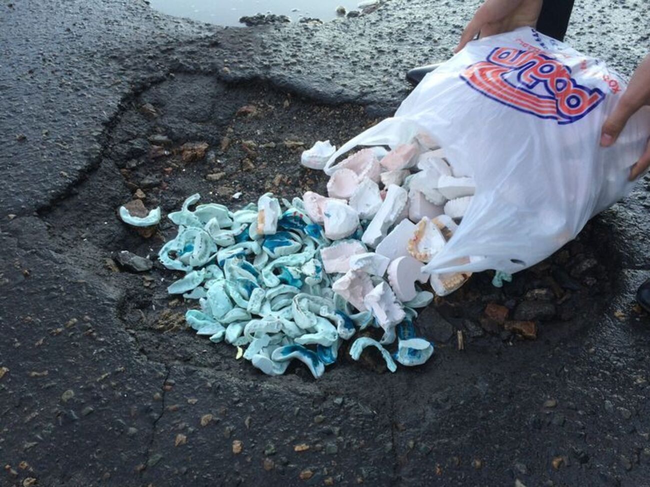 В Барнауле ямы на дорогах засыпали слепками челюстей