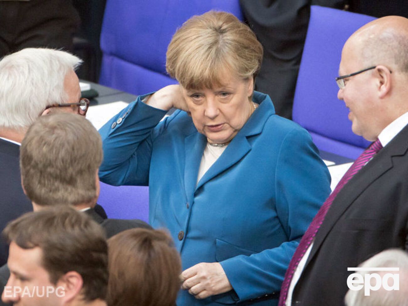 Голову свиньи подбросили в офис канцлера в избирательном округе в Штральзунде