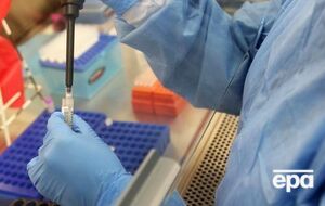 На основе эпидемиологического анамнеза, клинических симптомов и результатов анализов у китаянки подтвердили заражение вирусом Зика