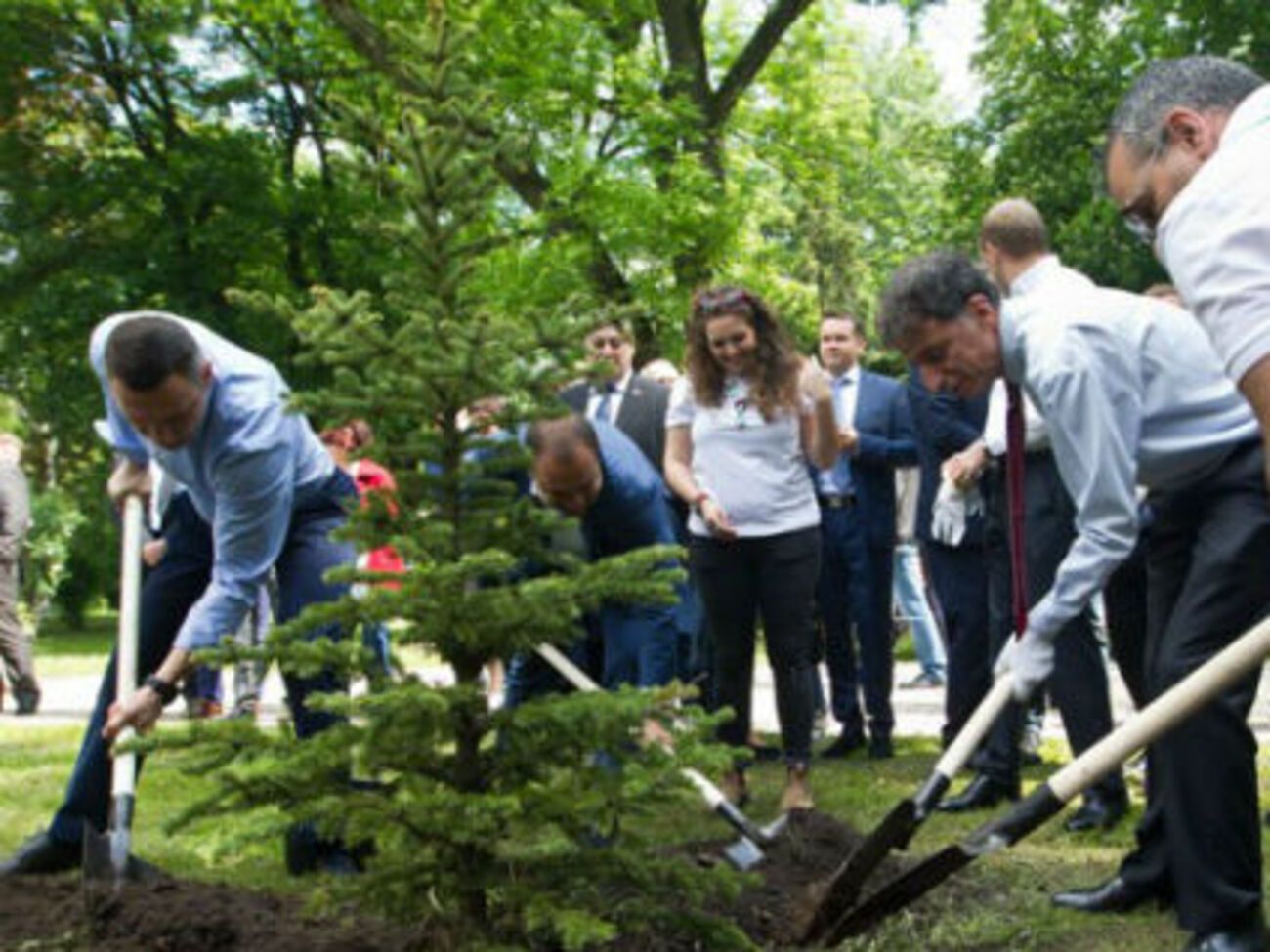В посадке аллеи Израиля приняли участие и израильские скауты