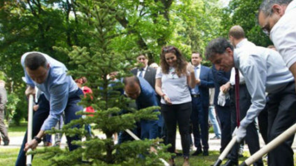В посадке аллеи Израиля приняли участие и израильские скауты