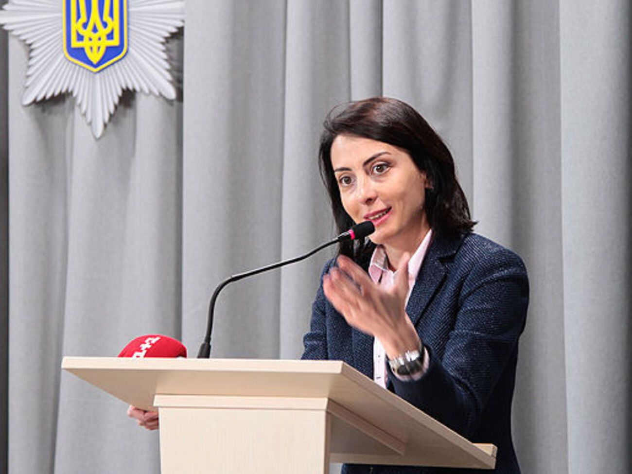 Деканоидзе рассказала, что за соблюдением прав задержанных будут следить сотрудники специального управления полиции