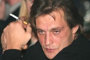 Домогарова отпустили домой