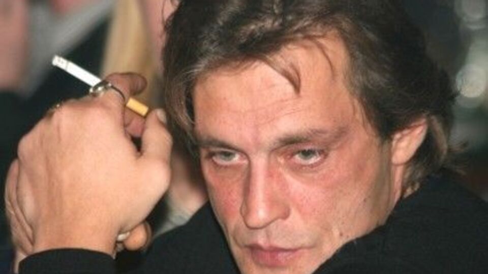 Домогарова отпустили домой