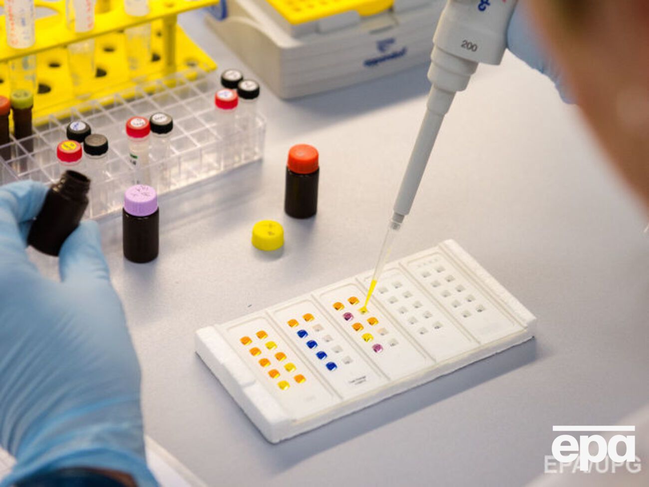 В РФ третий человек заразился вирусом Зика