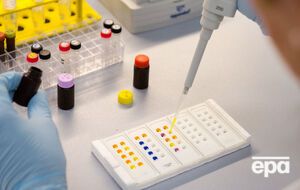 В РФ третий человек заразился вирусом Зика