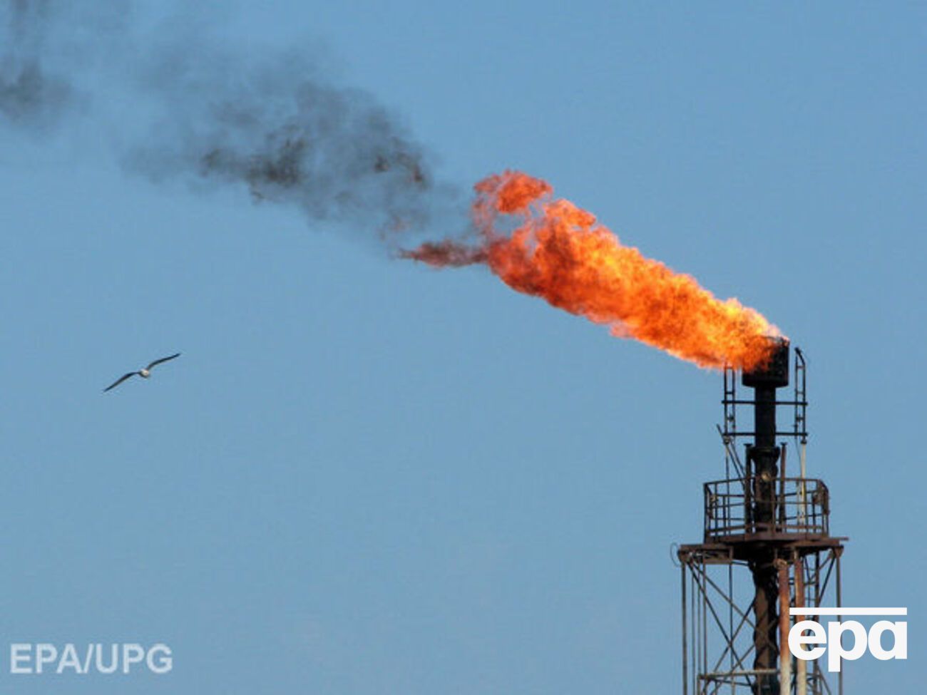 Вечером 18 мая нефть резко подешевела