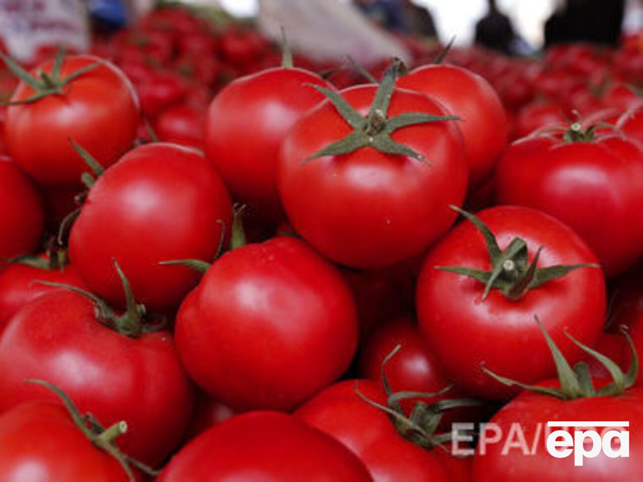 ГМО-продукты оказались безопасными