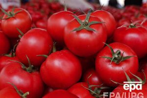 ГМО-продукты оказались безопасными