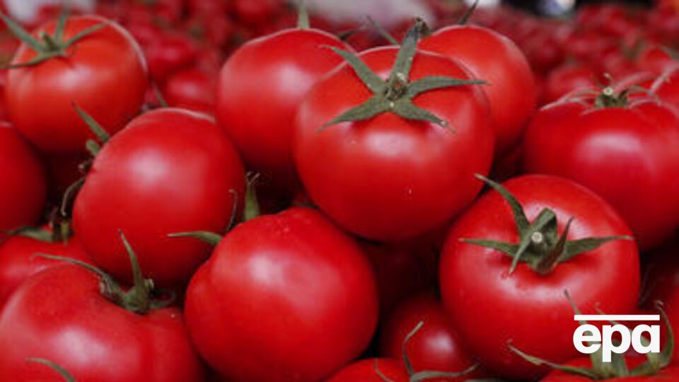 ГМО-продукты оказались безопасными
