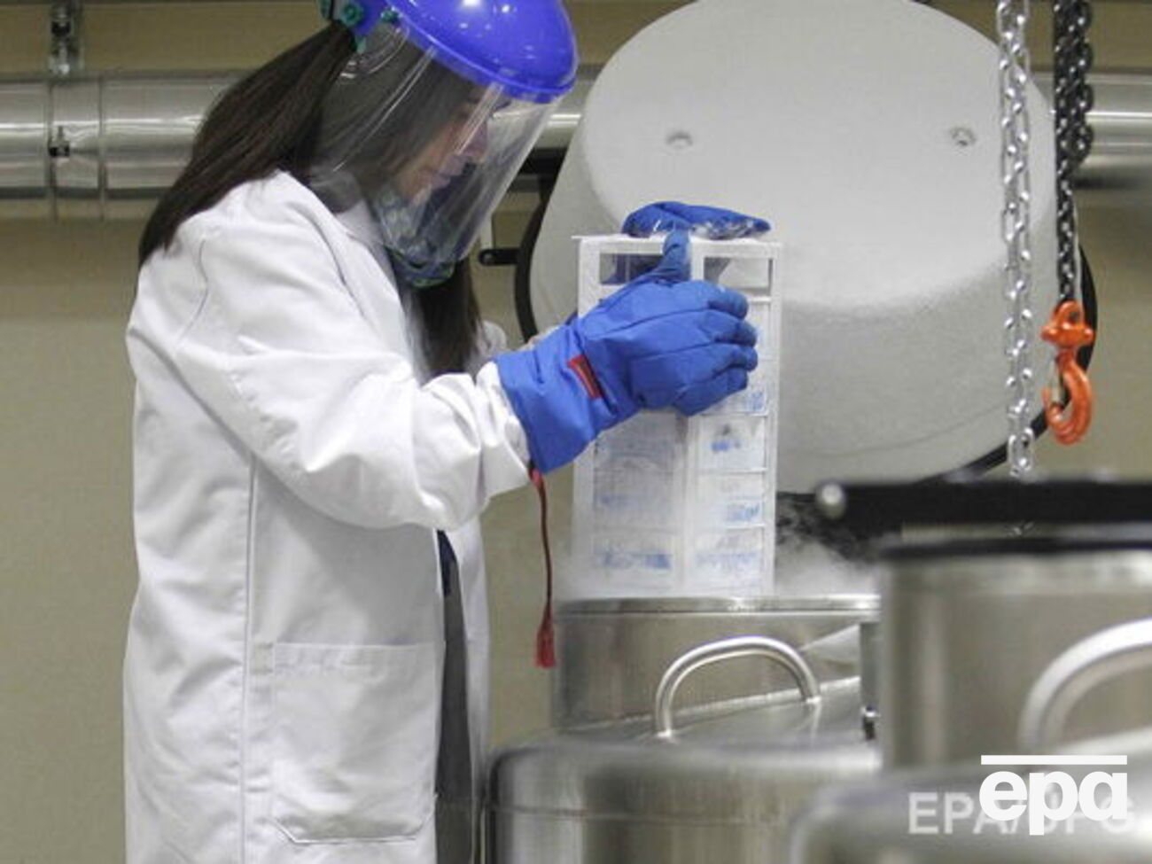 Микробиологи сумели вырезать код ВИЧ из генома крыс и мышей