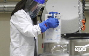 Микробиологи сумели вырезать код ВИЧ из генома крыс и мышей