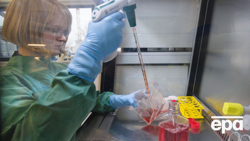 Почти 300 беременных женщин в США заражены вирусом Зика