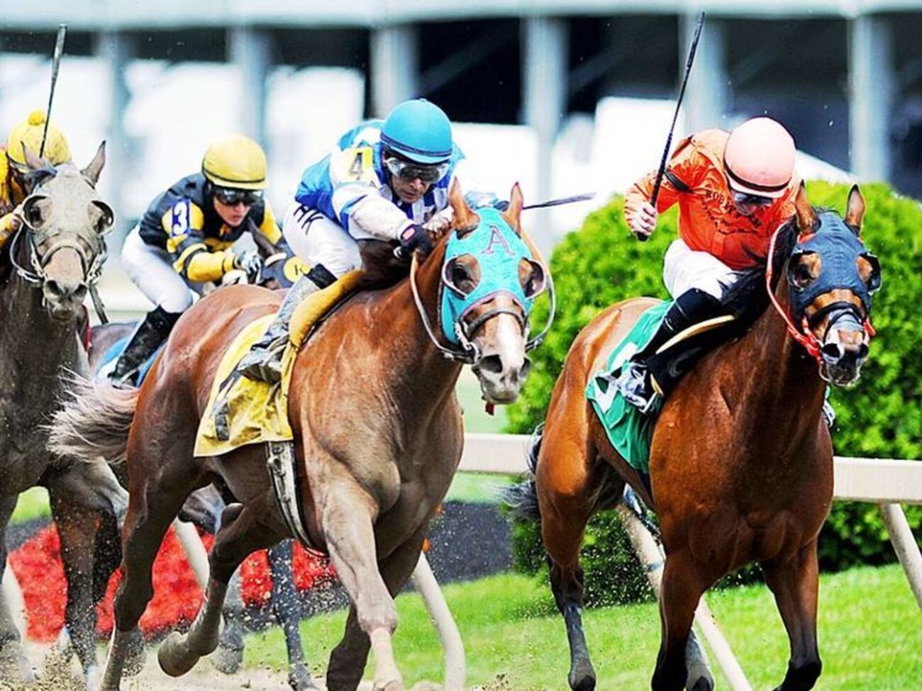 Трагедии случились во время первых четырех забегов